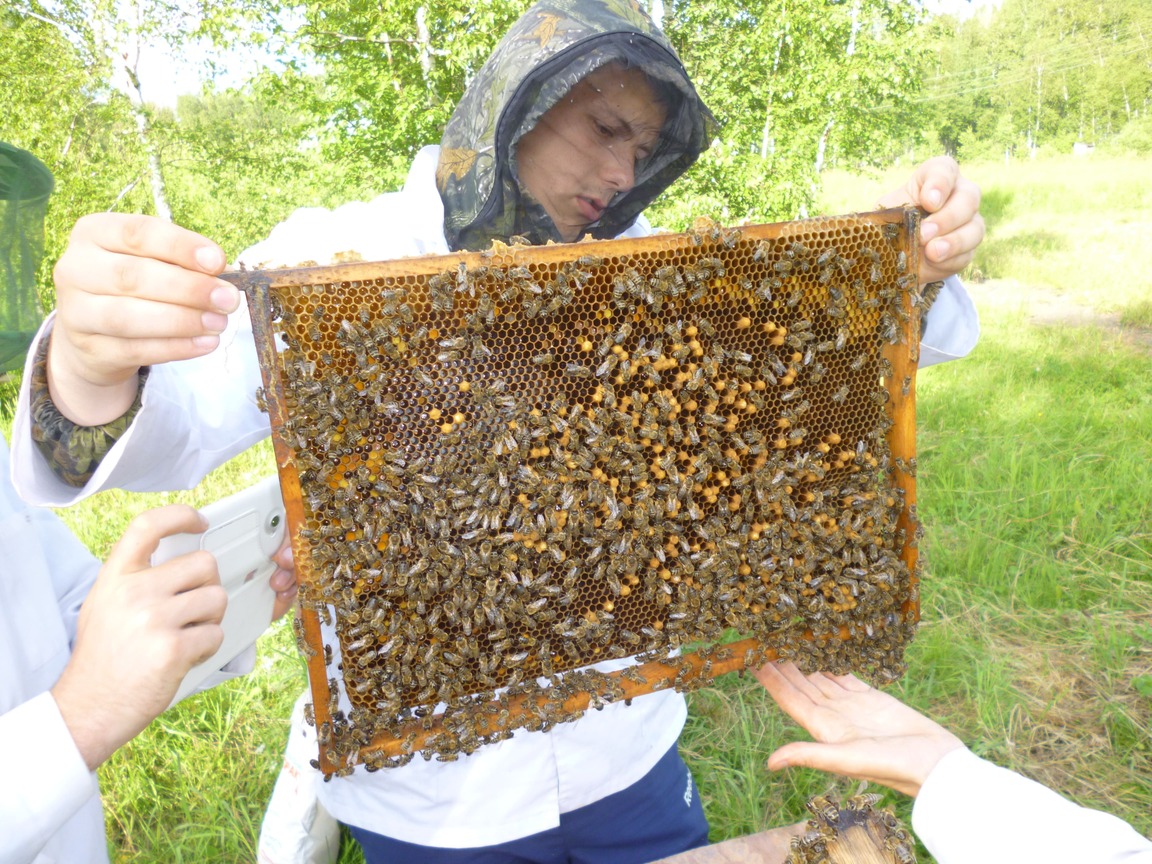 ���������