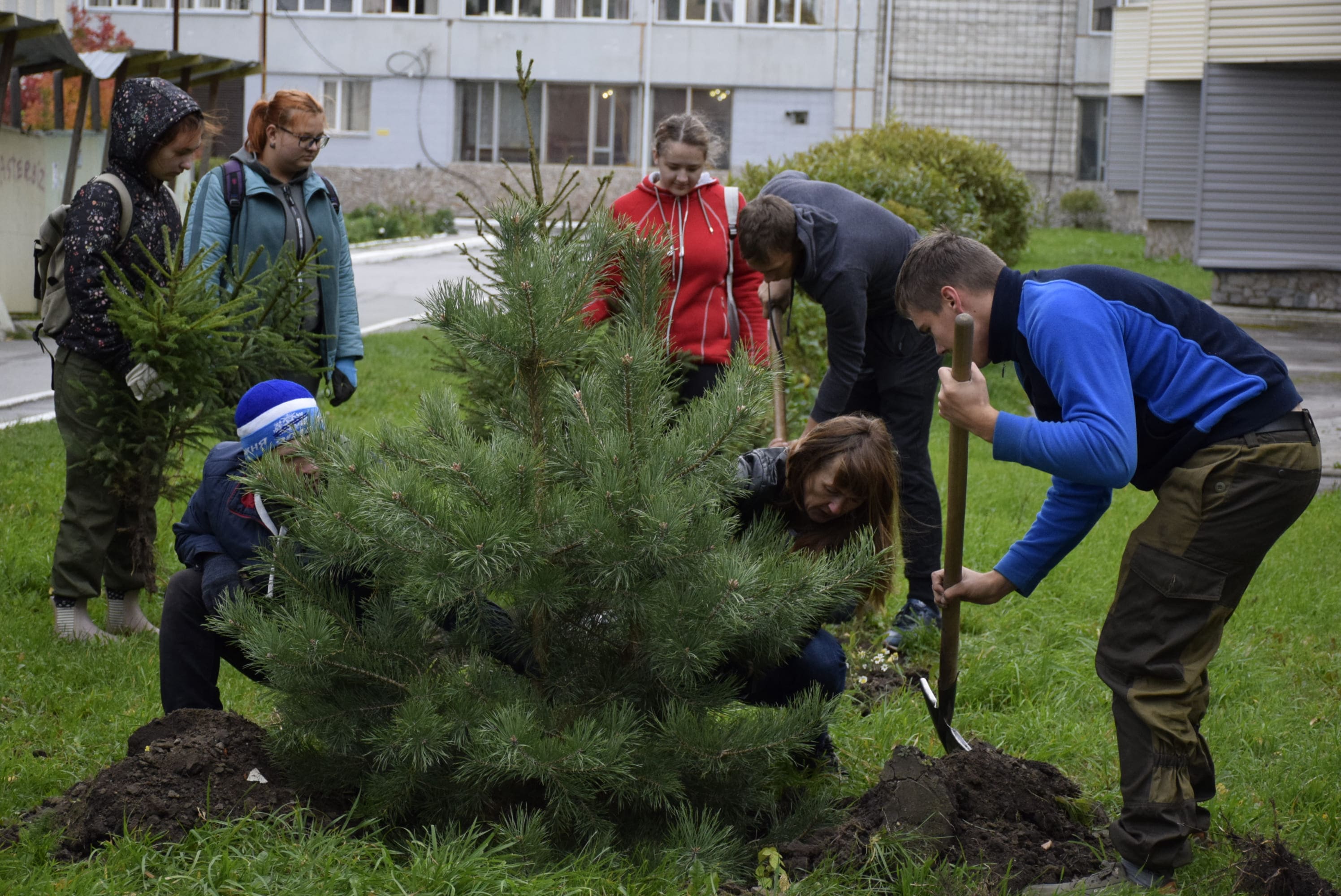 �������