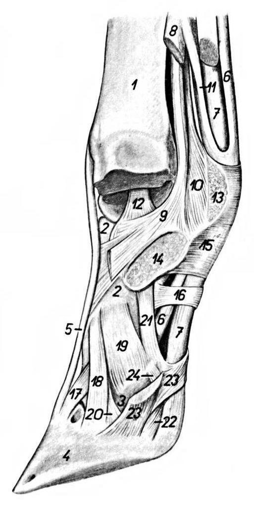 ������� 8 - ������ �������� ������ ����� ������� ���������� �������� �������� ����� � ����������� �������