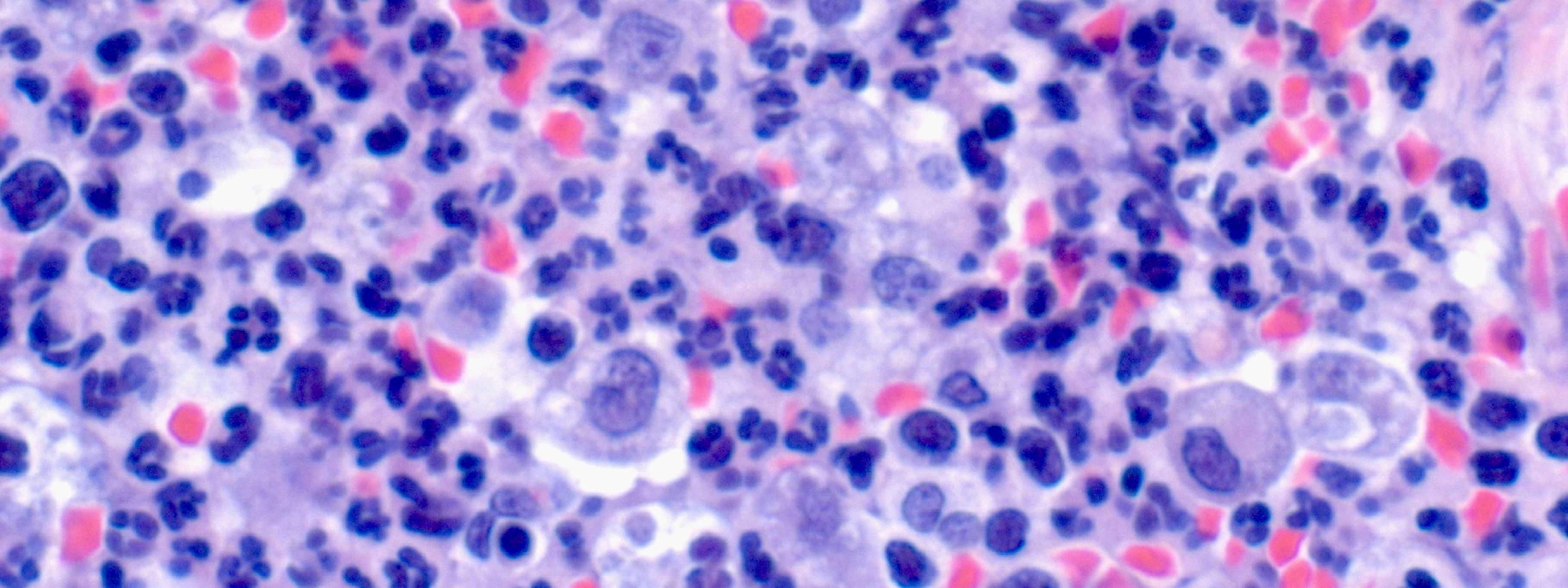 ������� 3 � ������������� ���� ������ ��� ������� �����������