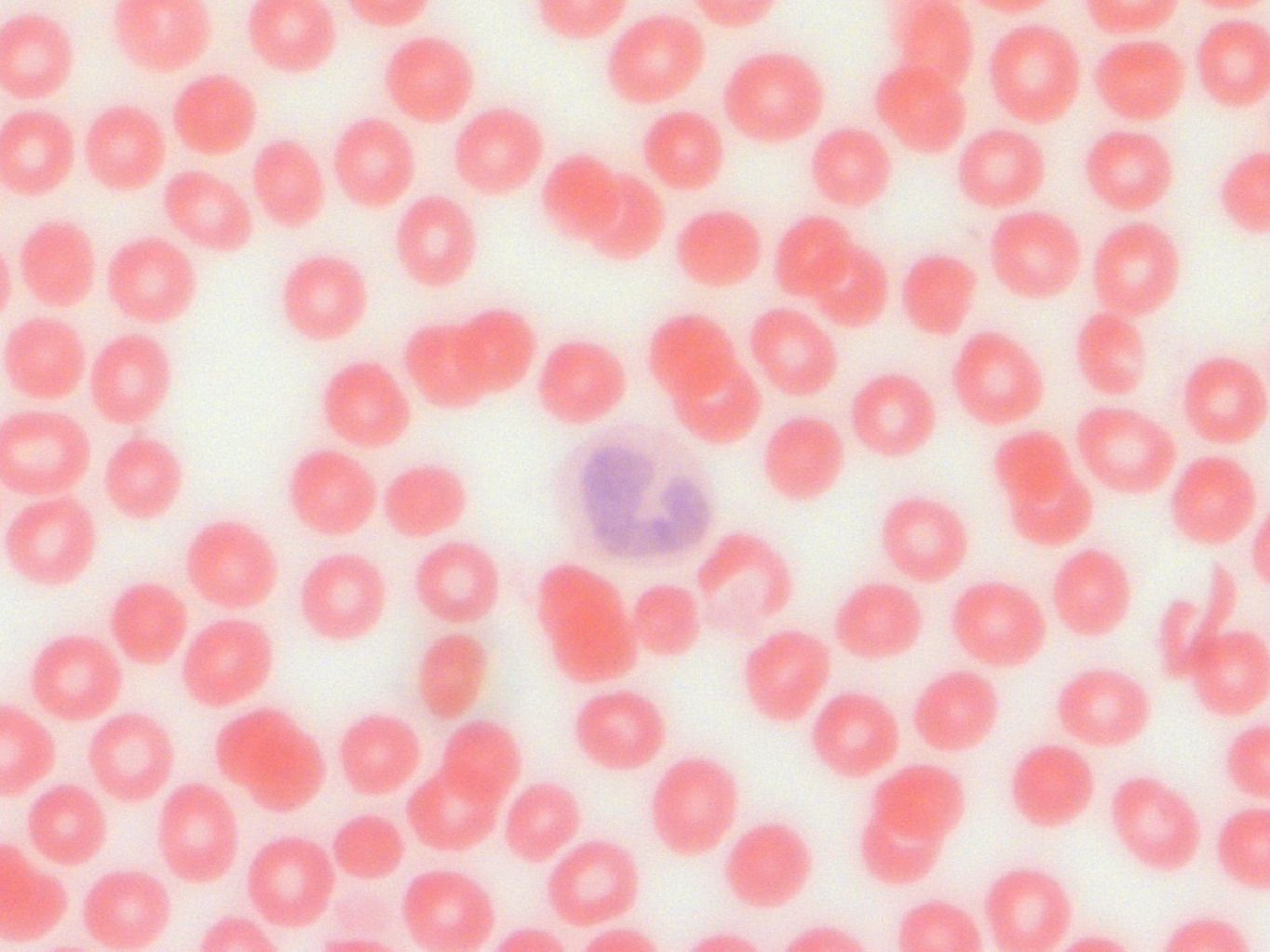 ������� 22 - ��������� � ����� � ���� ������� ��������� �������, ������� � ���� �����