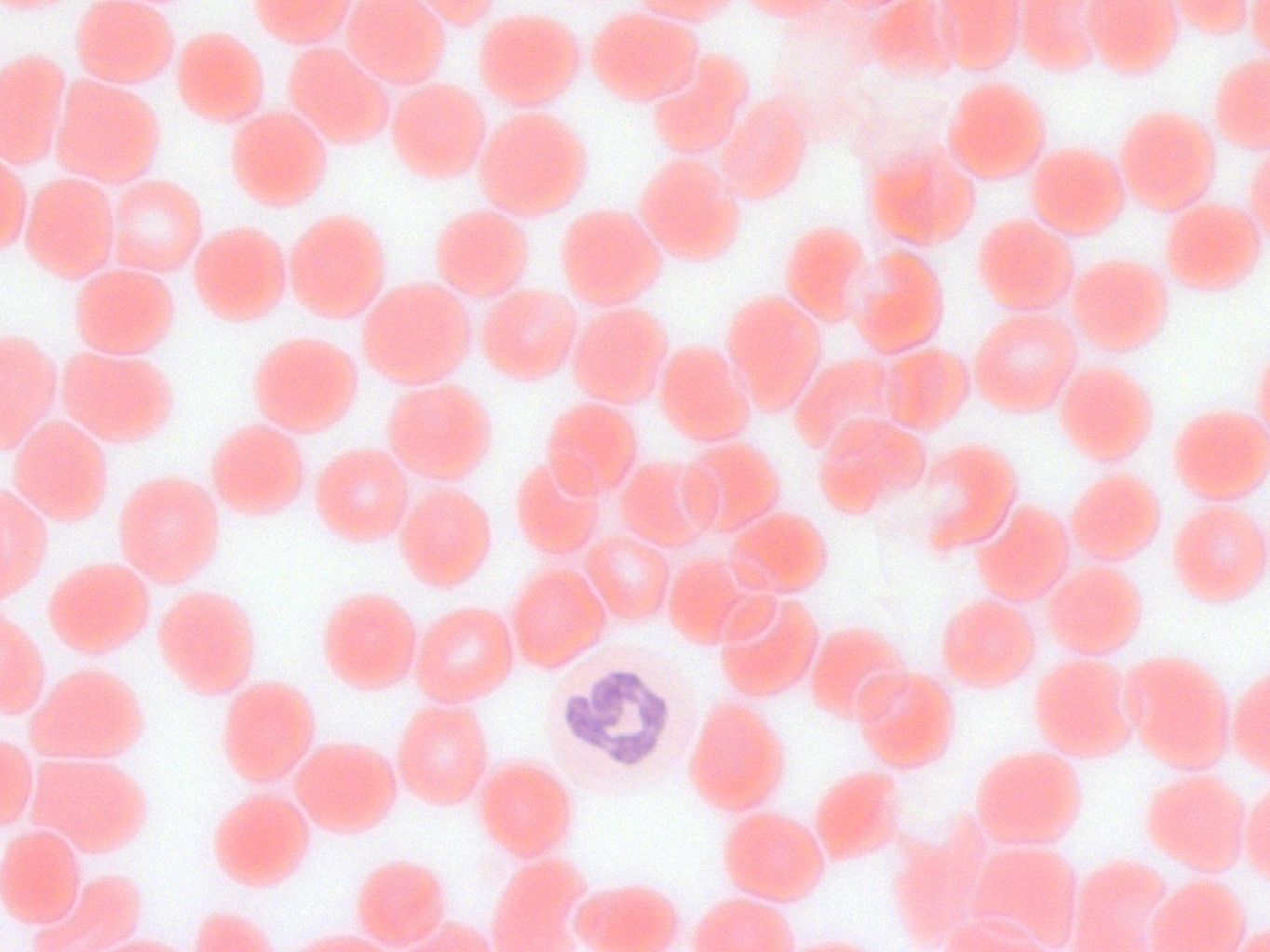 ������� 23 - �������������� ���������. ����� ���������� � ����� ������� ���� ���������, ������� ������