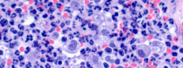 ������� 3 � ������������� ���� ������ ��� ������� �����������