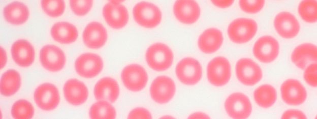 ������� 7 � ���������� ��������