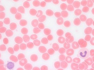 ������� 24 - ������ � ��������� � ��������� �����. ����� ���� ������, ��� � �������� �������������� ����, �� ������, ��� � ����. ���� �����, ��� � ������ ����