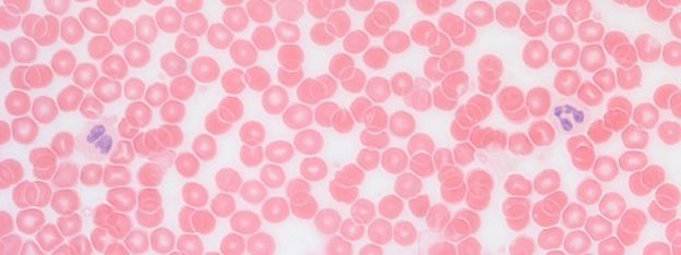 ������� 26 - ����� ��������� ��������������� ���������, ���������� ������������� ����, ������������ �� ����� ���� ����������