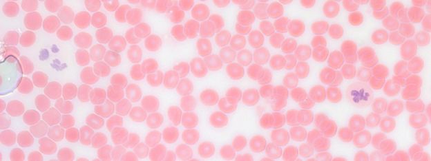 ������� 27 - � ����������� ������ ������������� ����������� �������� ���� ������ ��������. � ����������� �����, ��������, �������� ����������� �� ������������ ����������