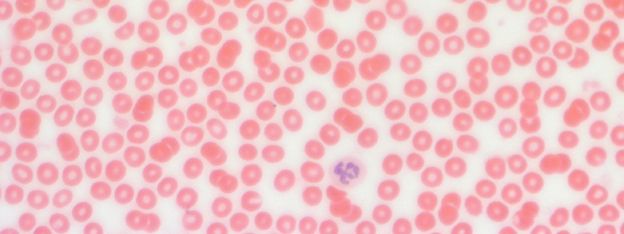 ������� 28 - ��������������� ������������� ���������� � �������������� ���������� ����