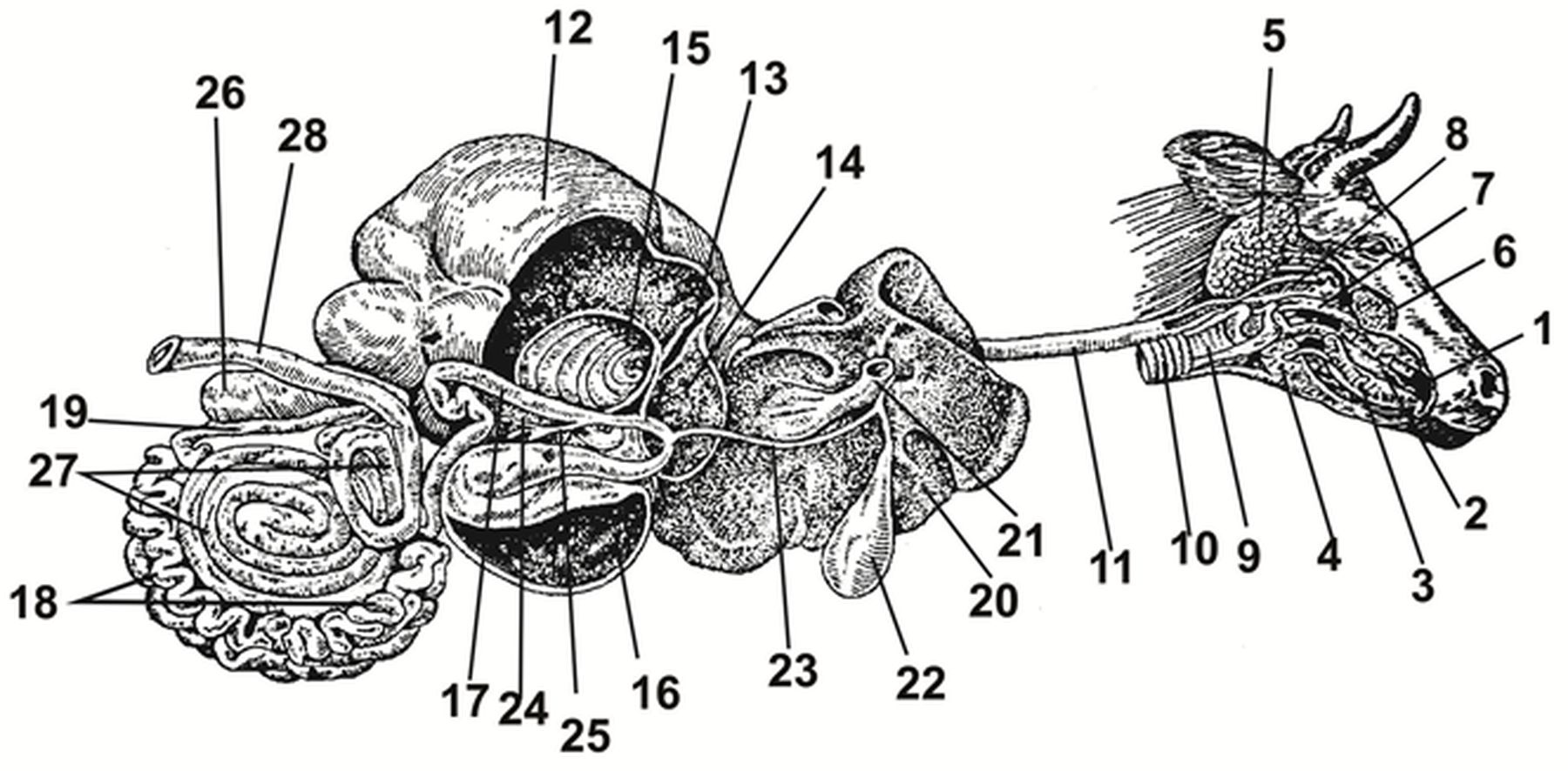 ������� 1 - ����� ���������������� �������� ������