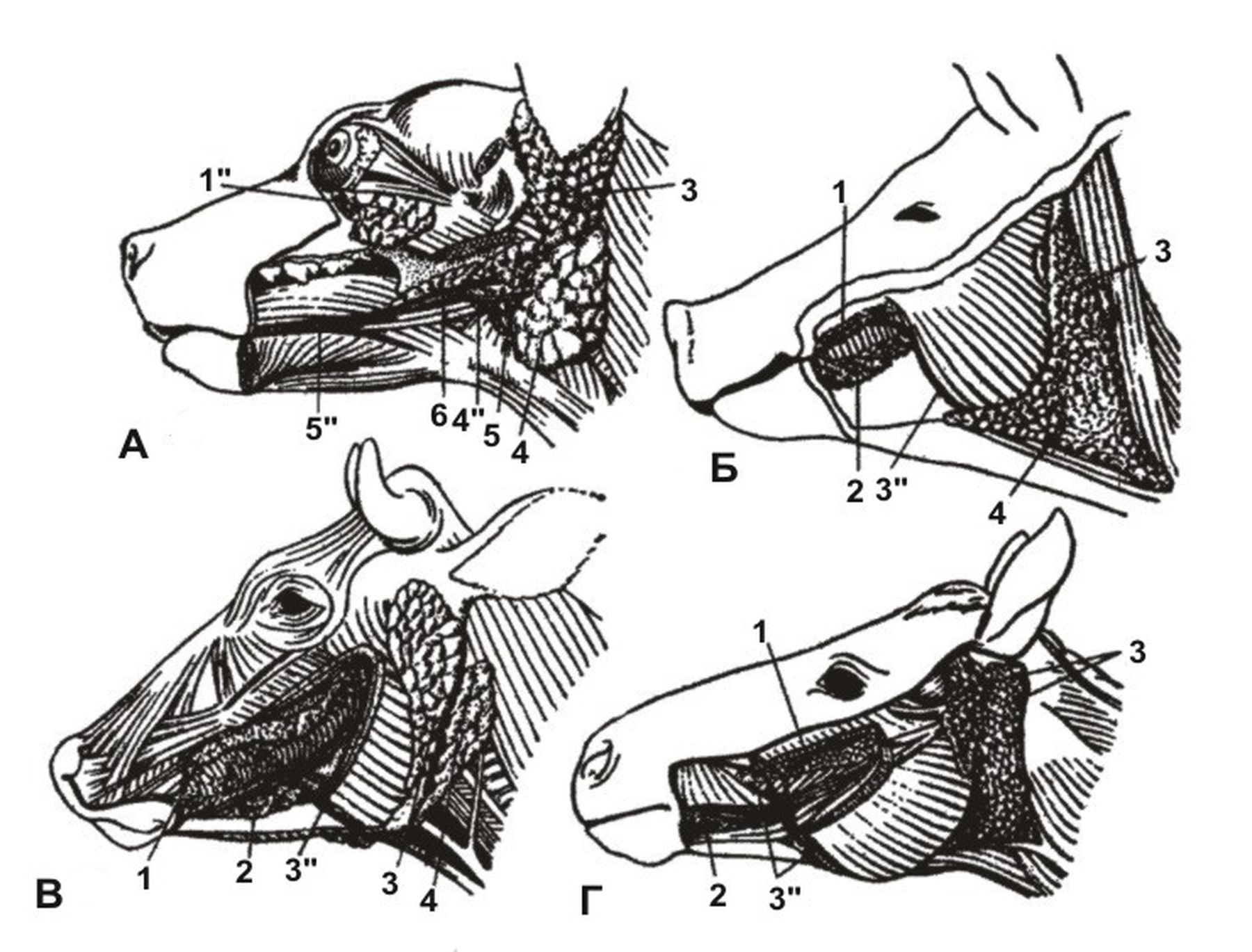 ������� 4 - ������ ������� �������