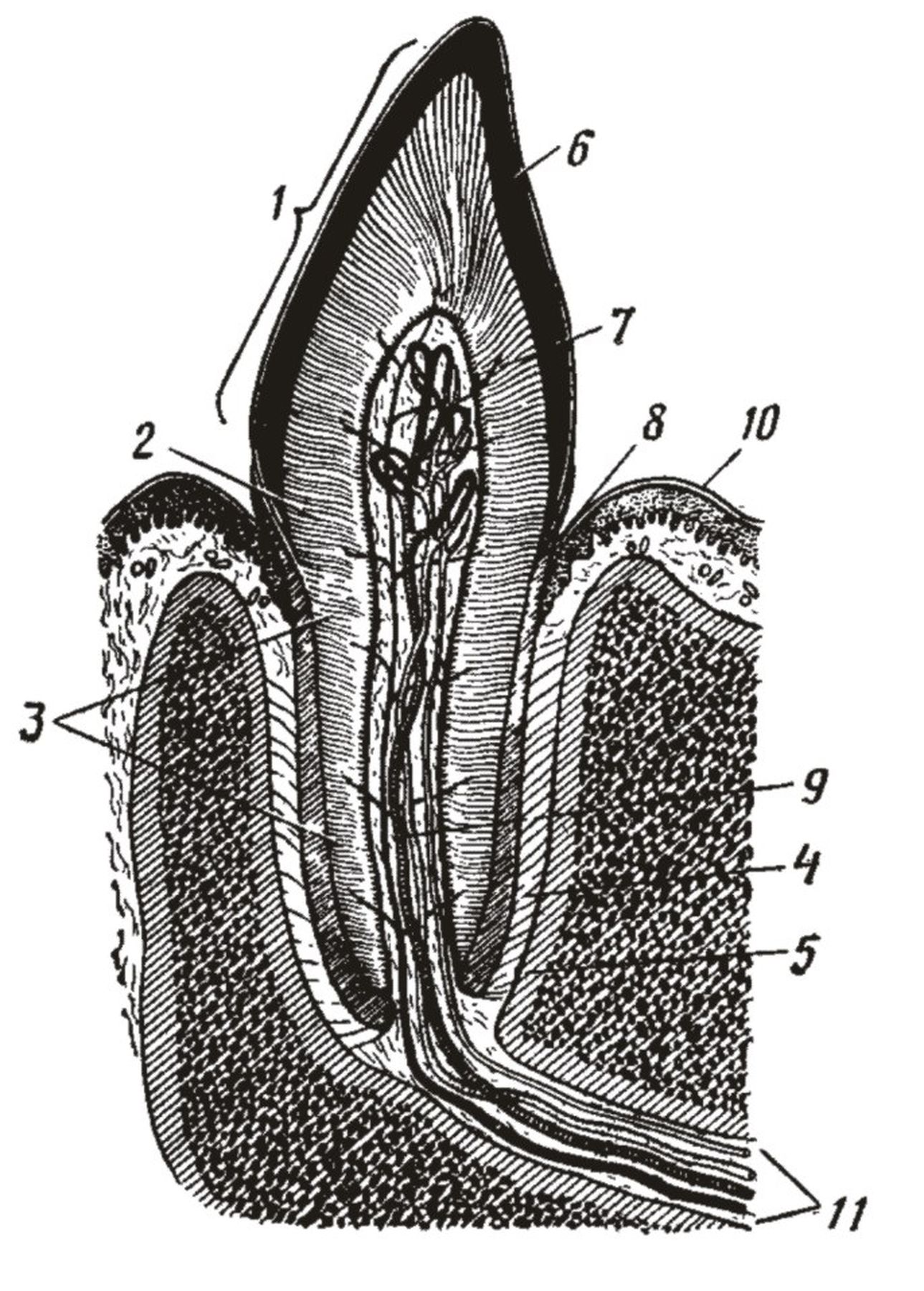 ������� 6 - �������� ������������������ ����