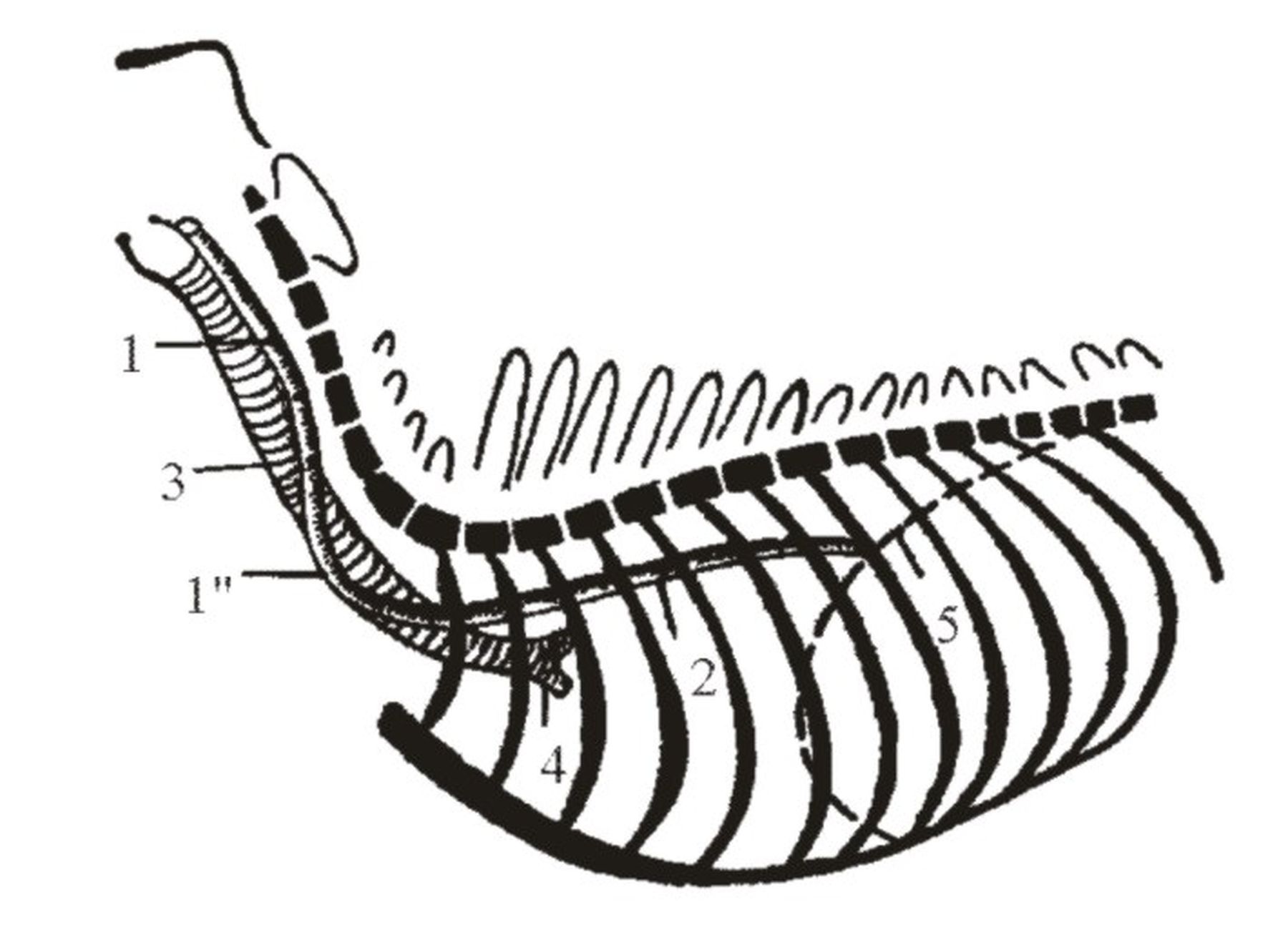 ������� 9 - ����� ��������������� �������� � ������