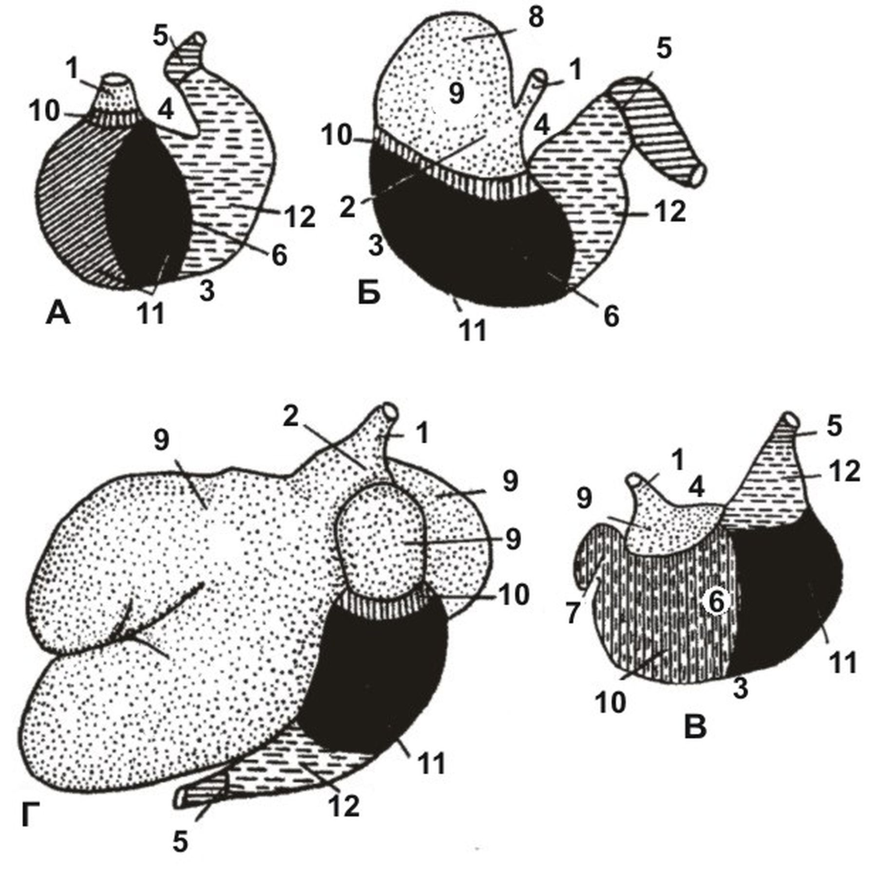 ������� 11 - ����� ������������� ���������� ��� � ��������