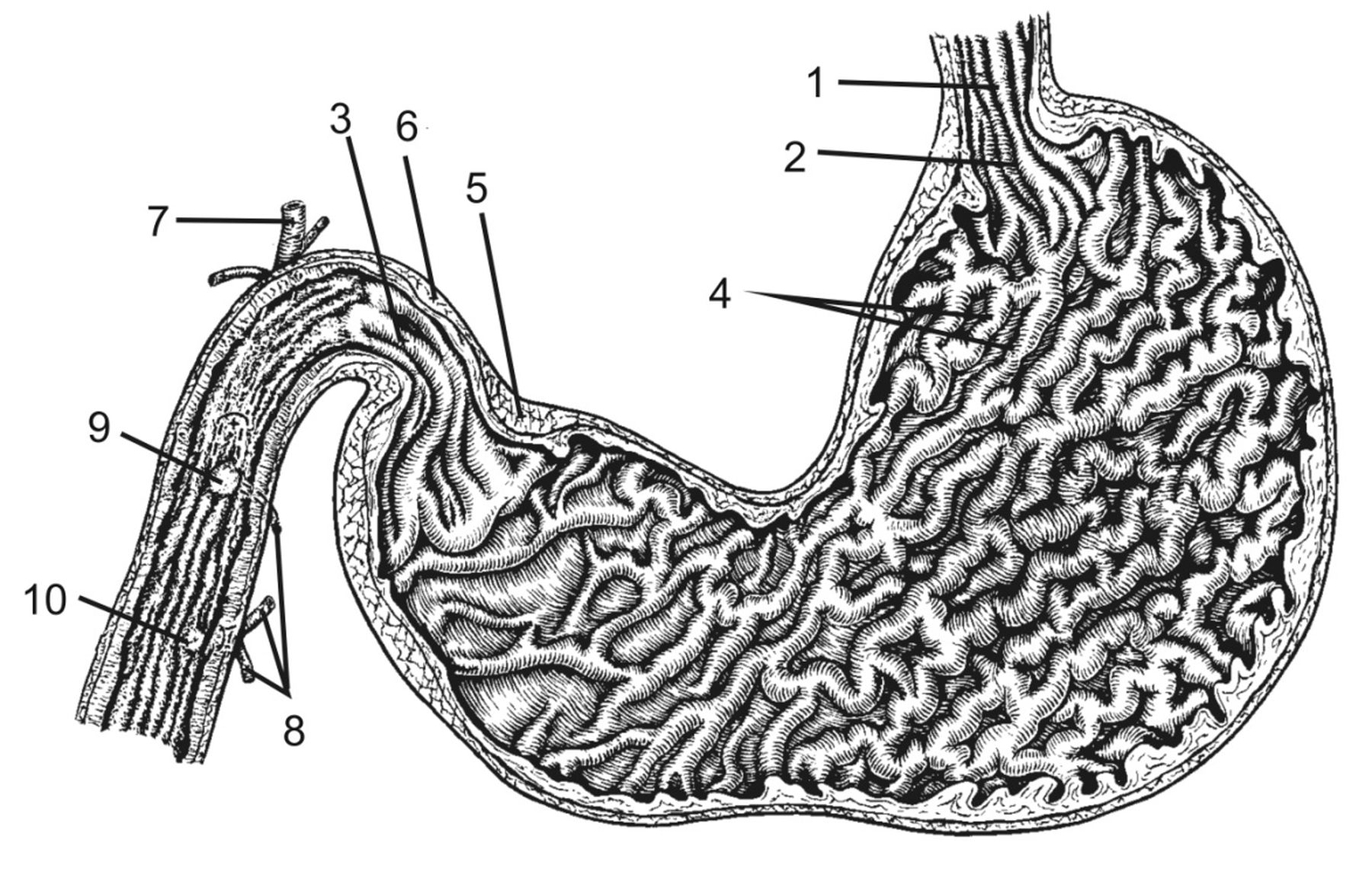 ������� 12 - ���������� ������ ������� � ���������� ������� 
   ������������������ �����