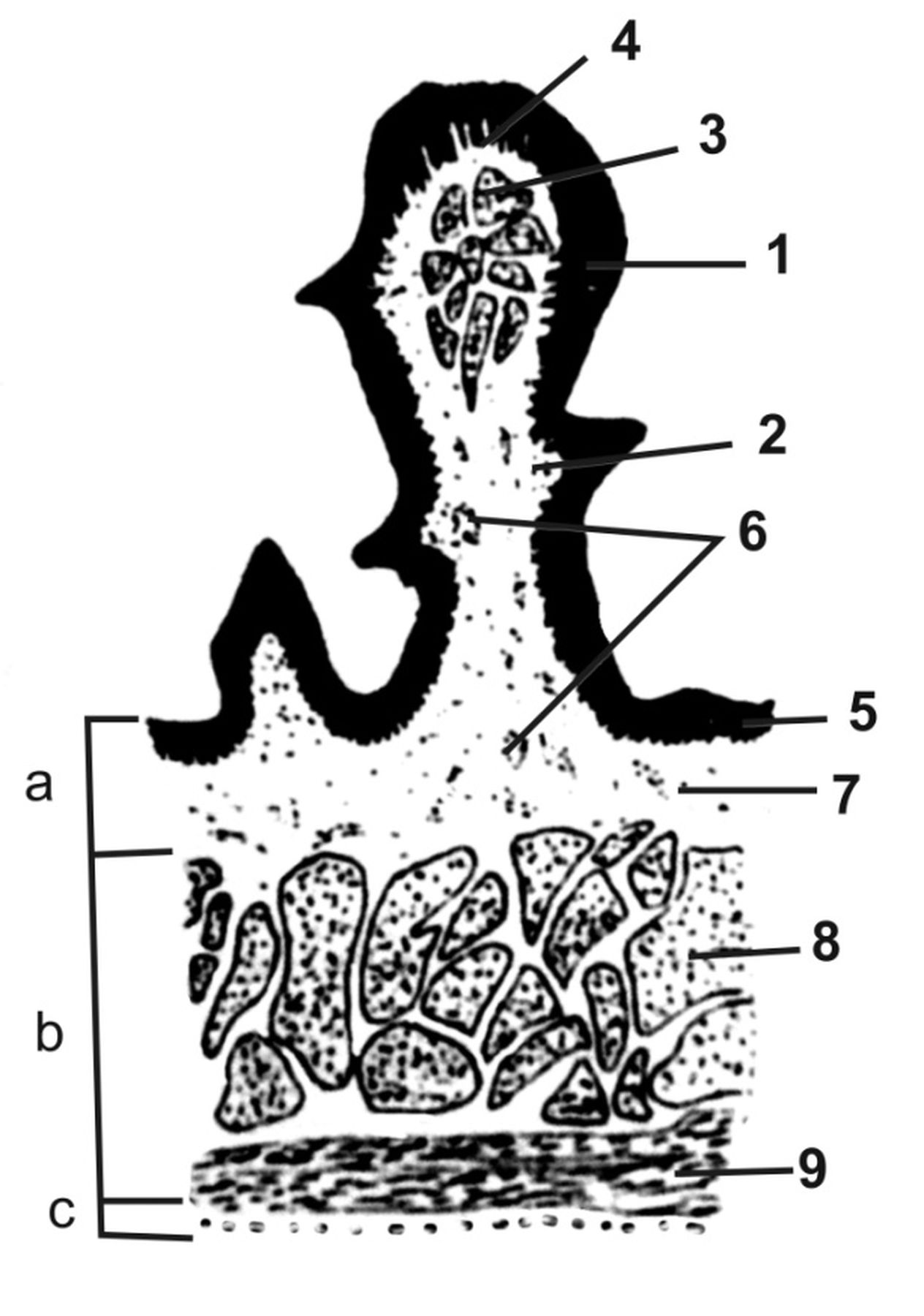 ������� 16 - ��������������� �������� ������� ����� � ������ �����