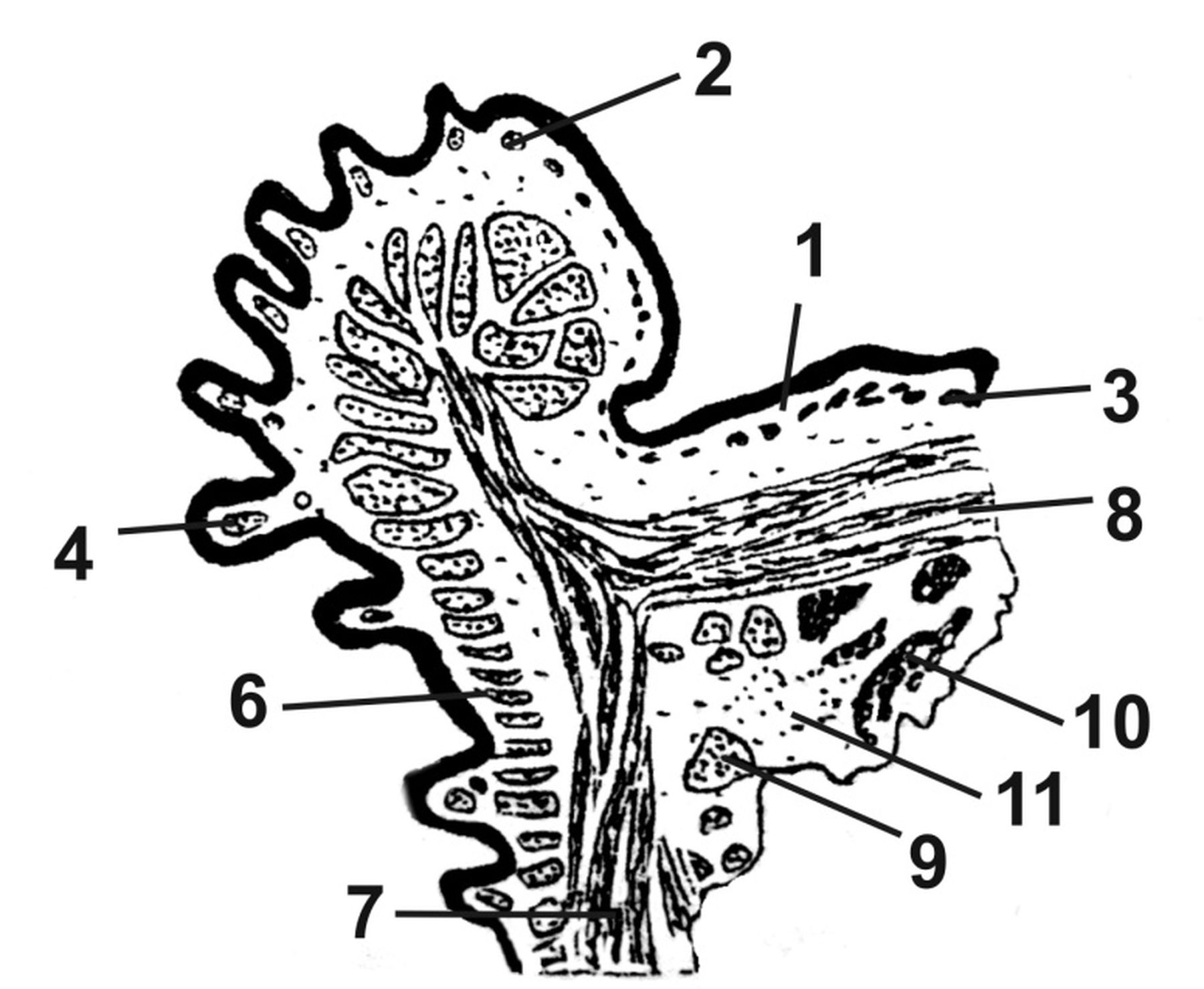 ������� 17 - ��������������� �������� ���� � ����� ��� ������� �������