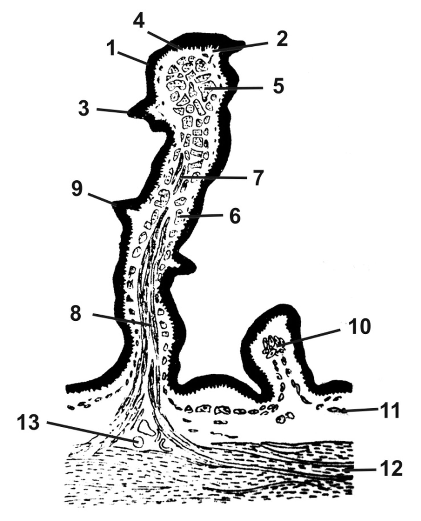 ������� 18 - ��������������� �������� ������ ������