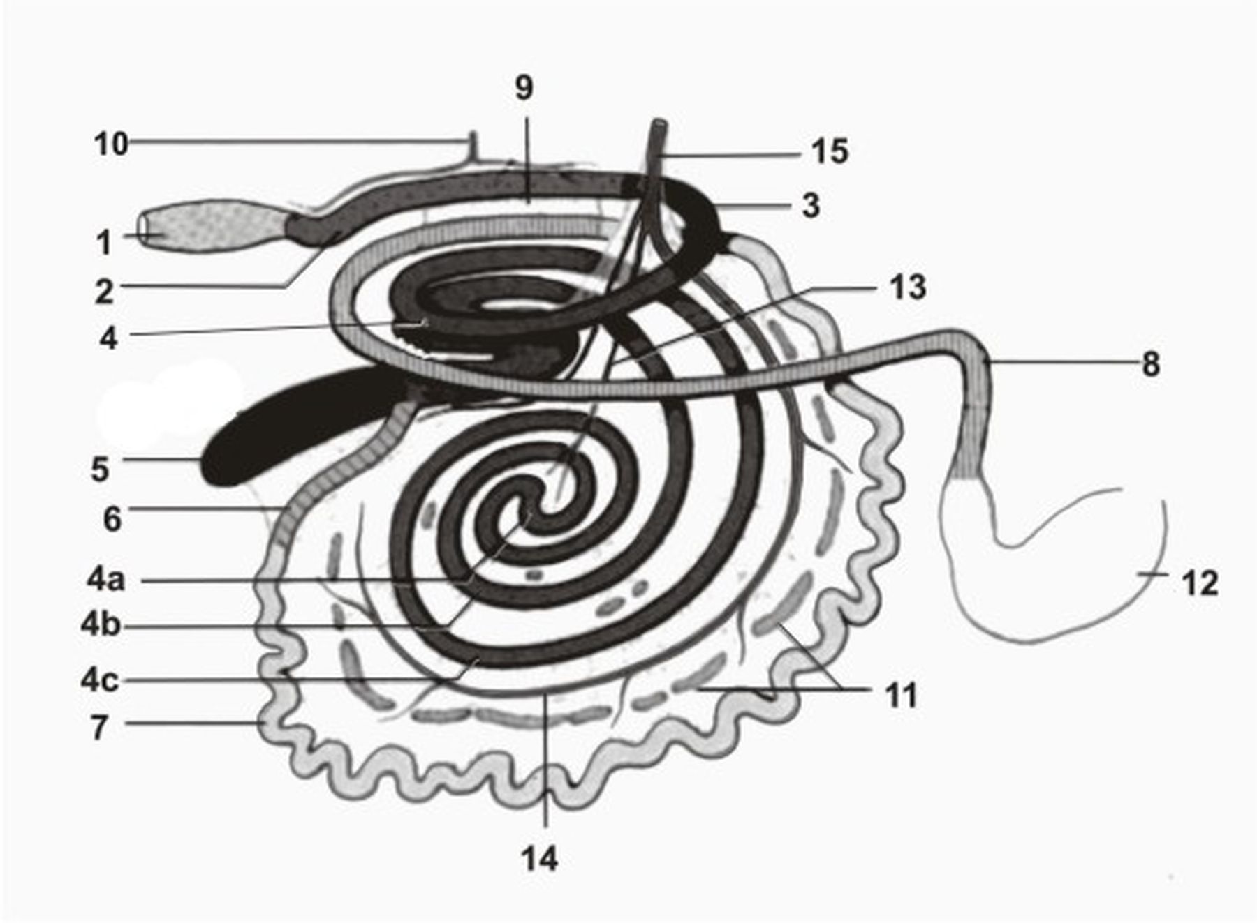 ������� 19 - ����� �������� � ���� ��������� � �������� �������� 
   �����