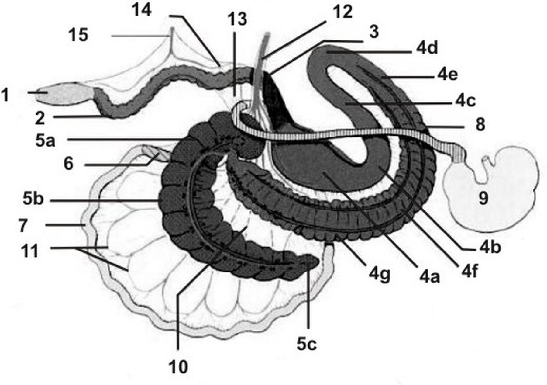 ������� 21 - ����� �������� � ���� ��������� � ������