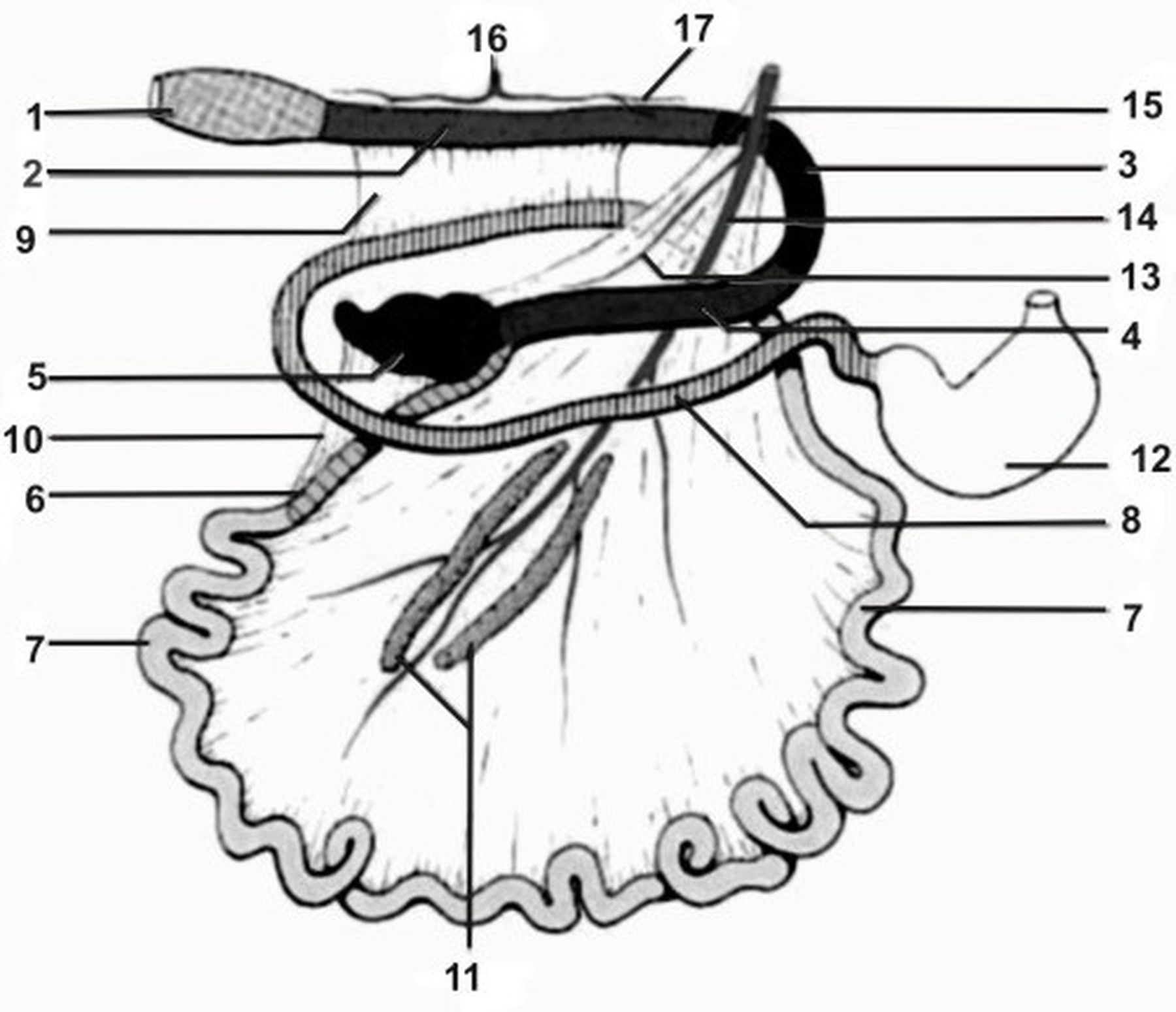 ������� 22 - ����� �������� � ���� ��������� � ������