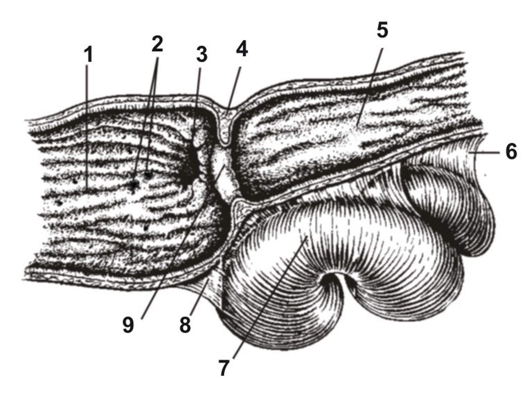 ������� 23 - ������������������������ ����� � ������������� ������