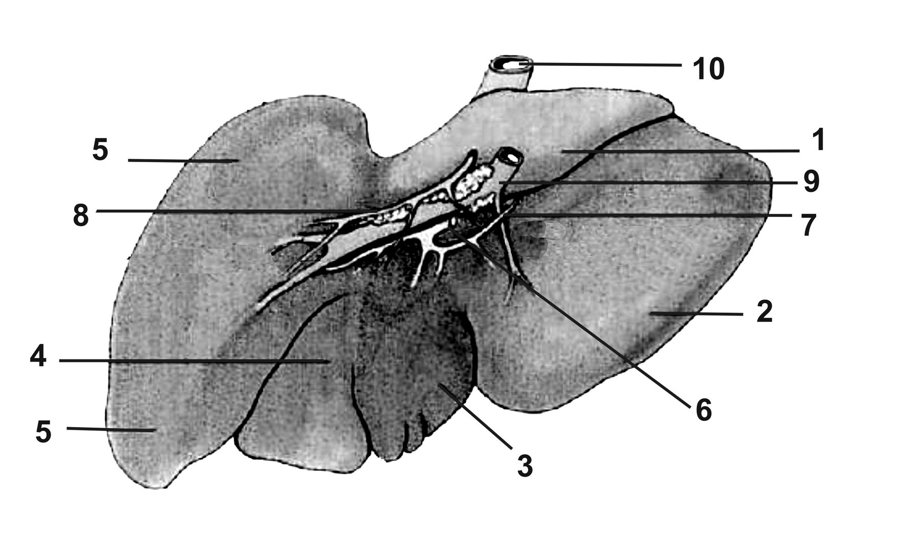 ������� 25 - ������������ ����������� ������ ������