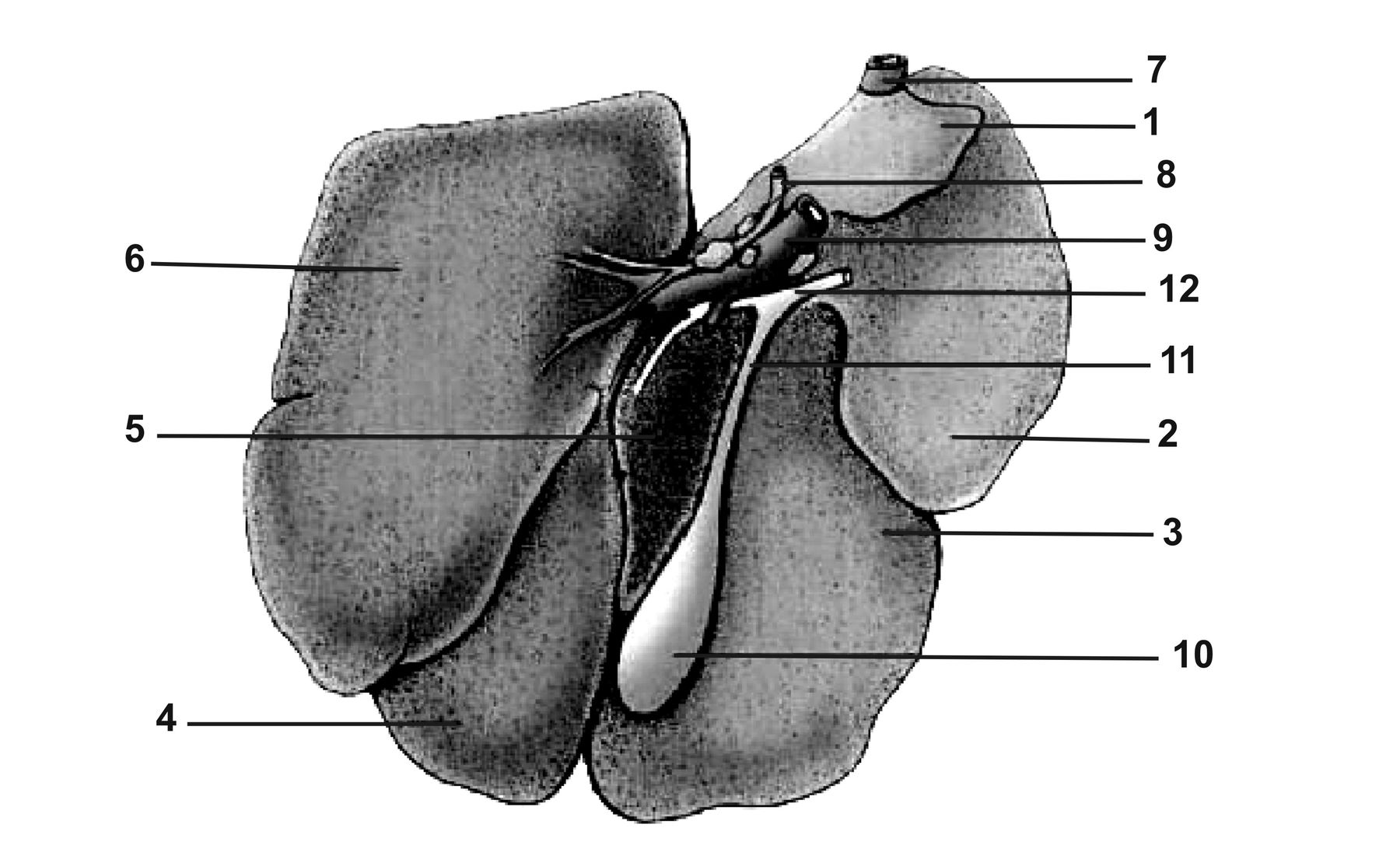 ������� 26 - ������������ ����������� ������ ������