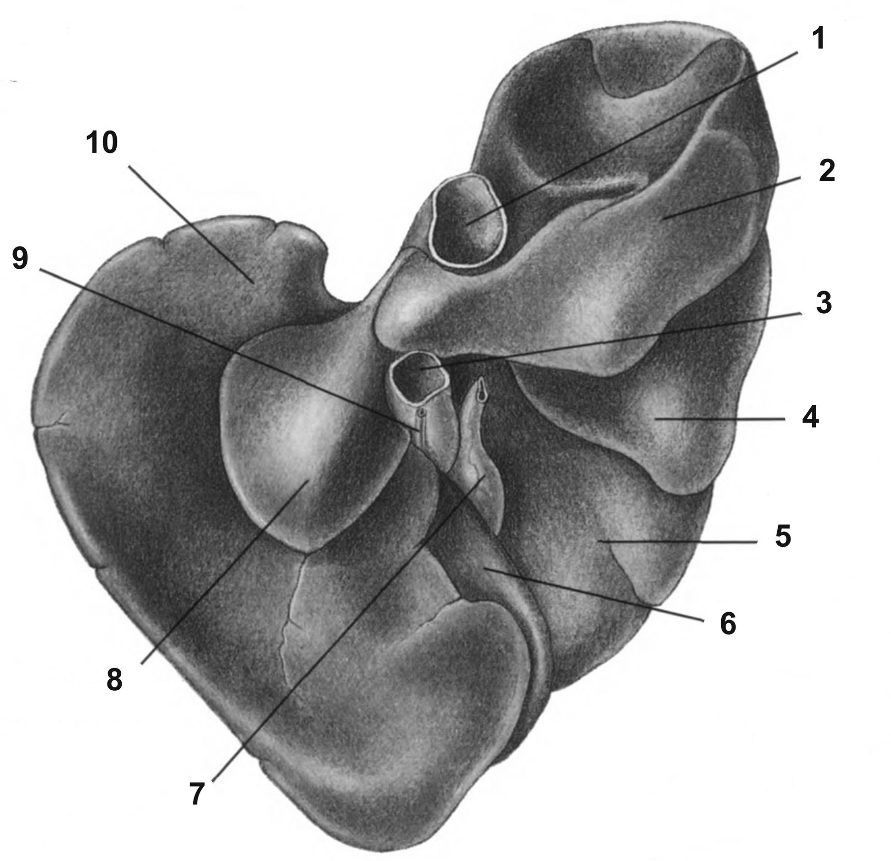 ������� 27 - ������������ ����������� ������ ������