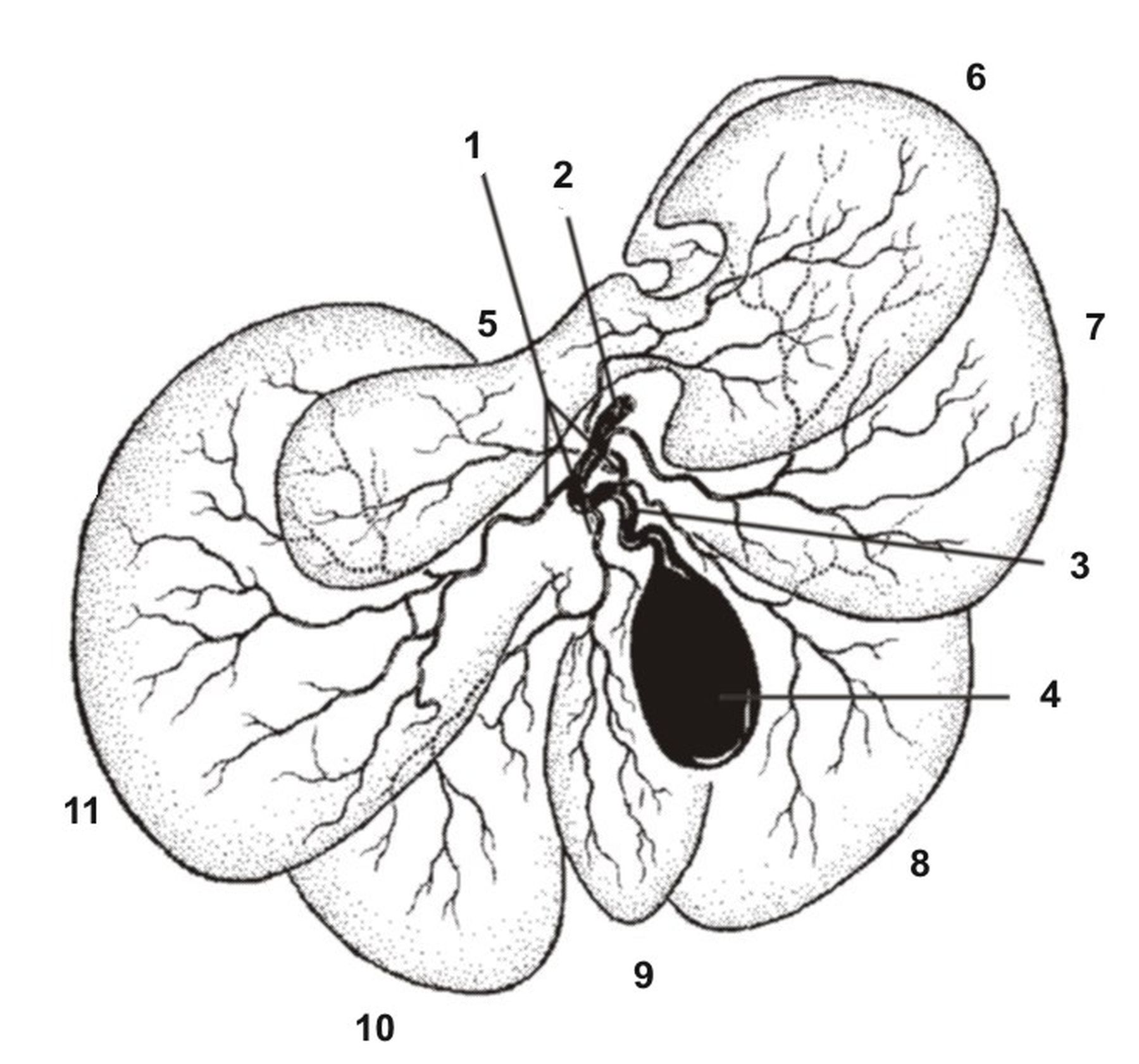 ������� 28 - �������� ������� ������ ������