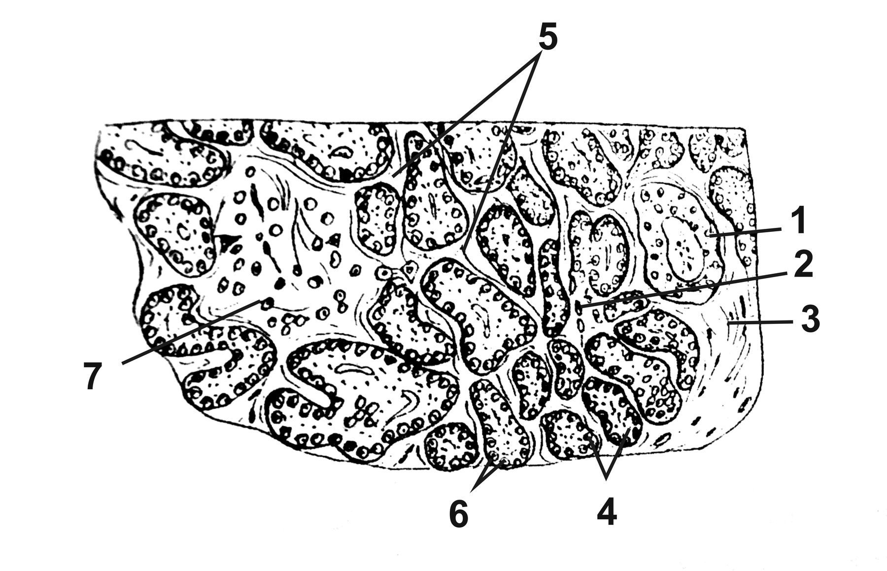 ������� 30 - ��������������� �������� ������������� ������