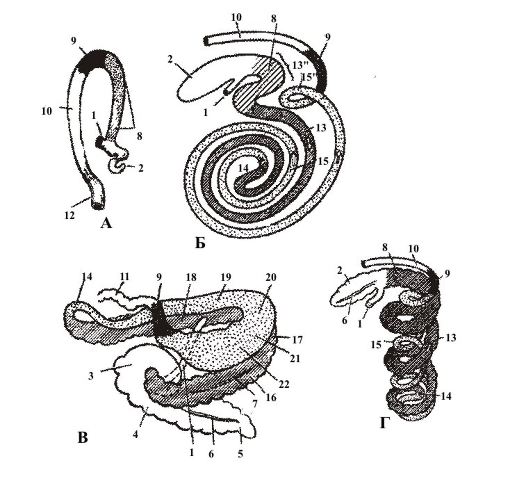 ������� 32 - ������� �����