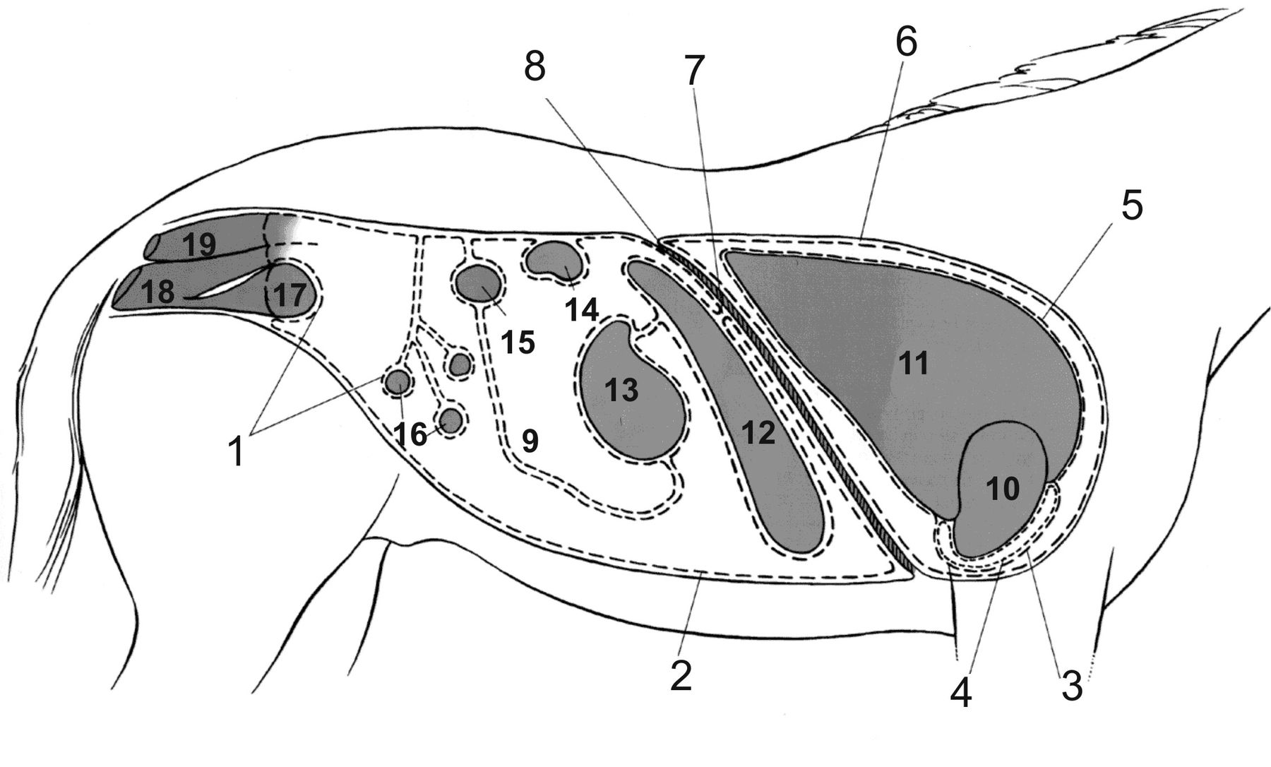 ������� 34 - ����� ������� � ������� ������� � ������