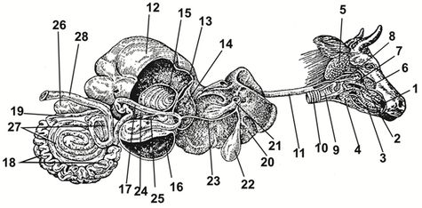 ������� 1 - ����� ���������������� �������� ������