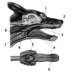 ������� 3 - ������� �������