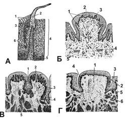 ������� 8 - ������� ����� ������