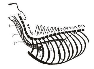 ������� 9 - ����� ��������������� �������� � ������