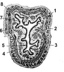 ������� 10 - ���������� ���� ��������