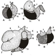 ������� 11 - ����� ������������� ���������� ��� � ��������