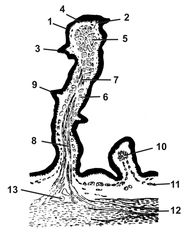 ������� 18 - ��������������� �������� ������ ������