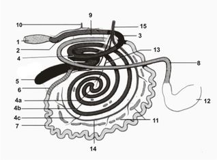 ������� 19 - ����� �������� � ���� ��������� � �������� �������� 
   �����