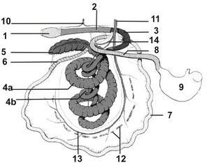 ������� 20 - ����� �������� � ���� ��������� � ������