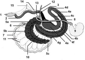 ������� 21 - ����� �������� � ���� ��������� � ������