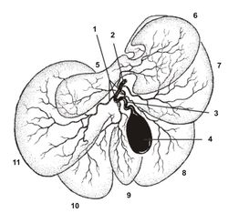 ������� 28 - �������� ������� ������ ������