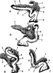 ������� 29 - ������������� ������