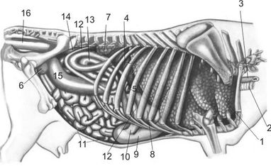 ������� 31 - ���������� ������ ������, ��� ������