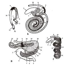 ������� 32 - ������� �����