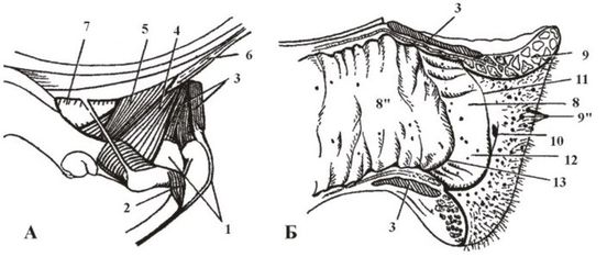 ������� 33 - ������ ����� � ����