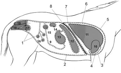 ������� 34 - ����� ������� � ������� ������� � ������