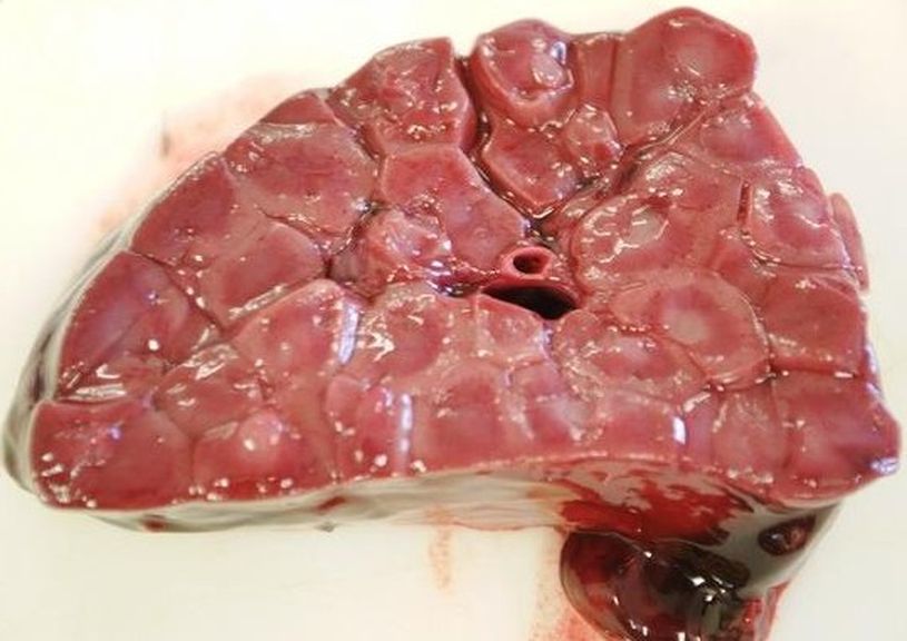 ���. 6. ������������� ����� � ������������ ������� ������ (���������� ������)