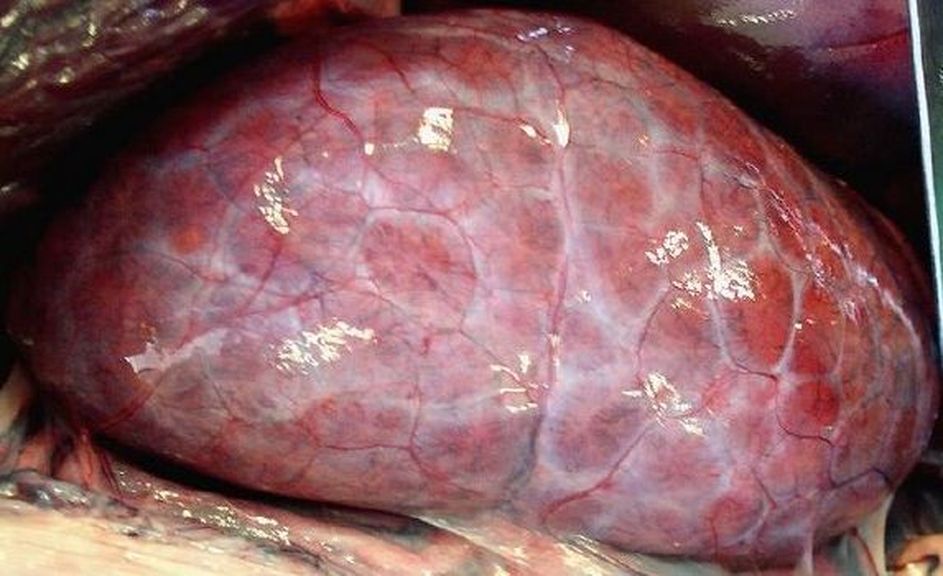 ���. 7. ������������� ����� �������� ��������������� ���� (����� �����)